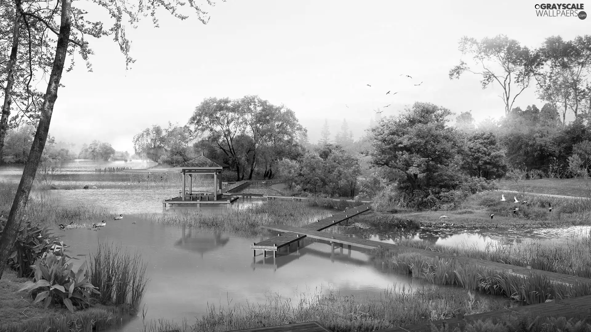 Catwalks, Park, trees, viewes, birds, lake