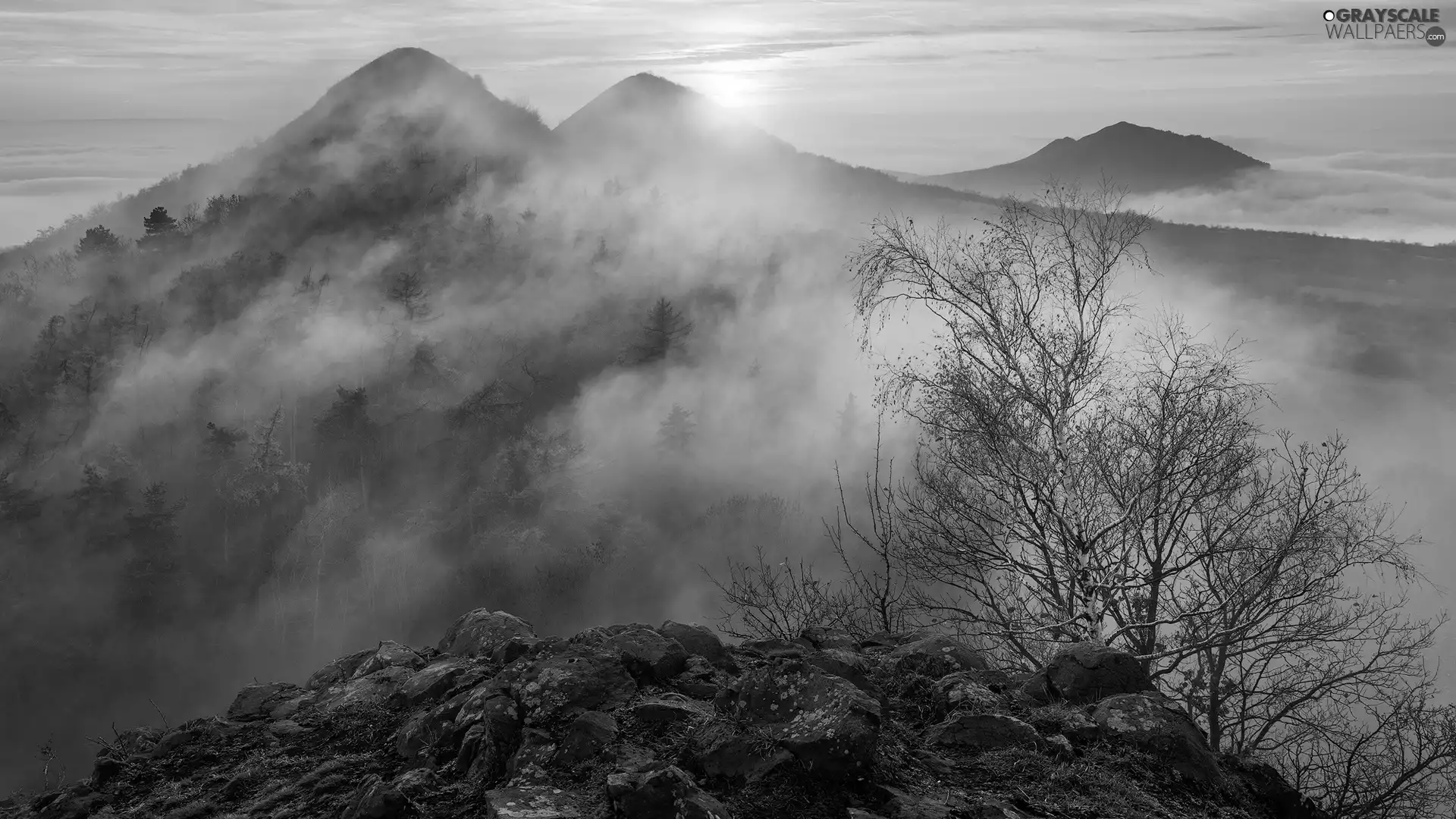 trees, light breaking through sky, autumn, Fog, Mountains, viewes, rocks
