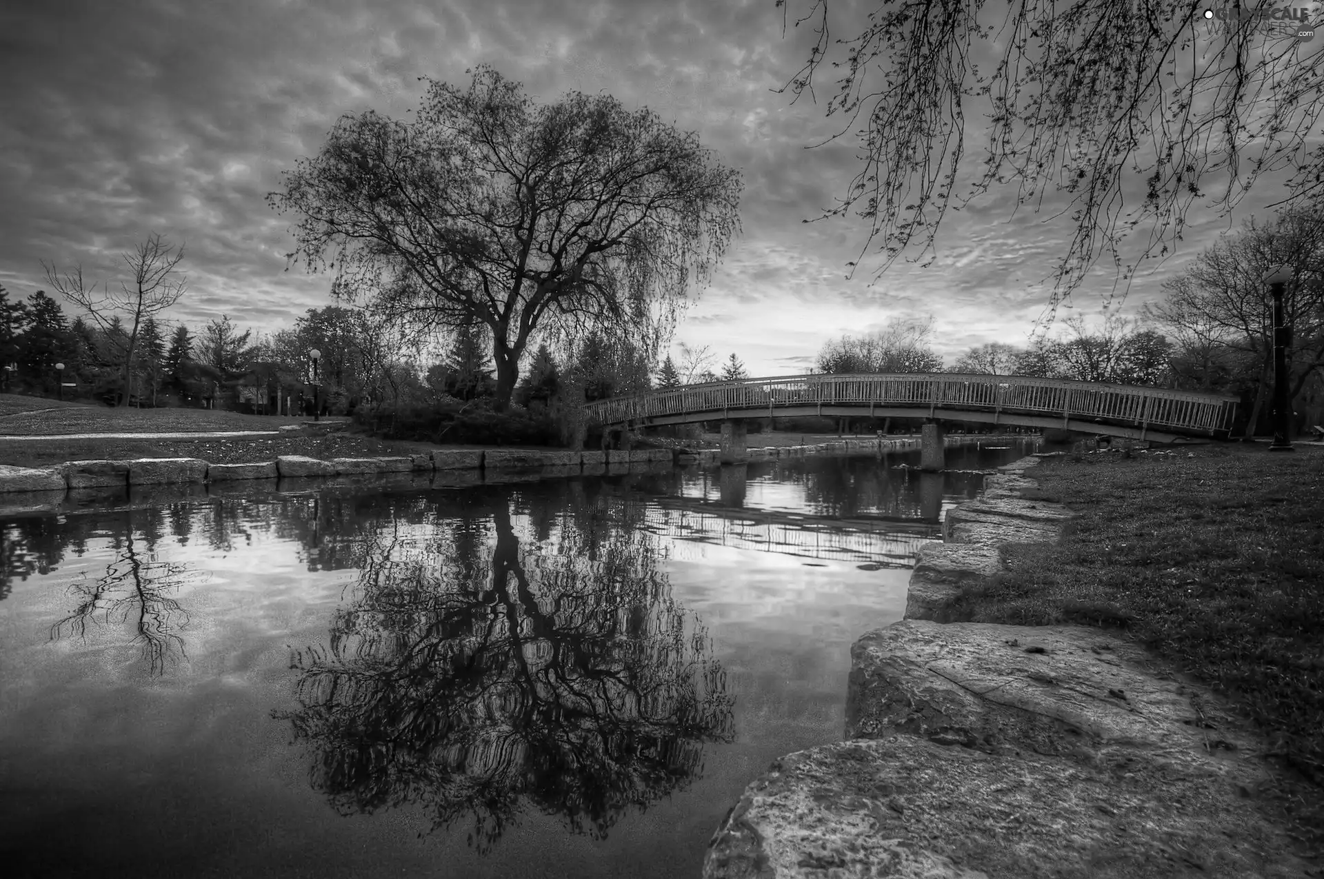 River, west, trees, viewes, bridges, sun