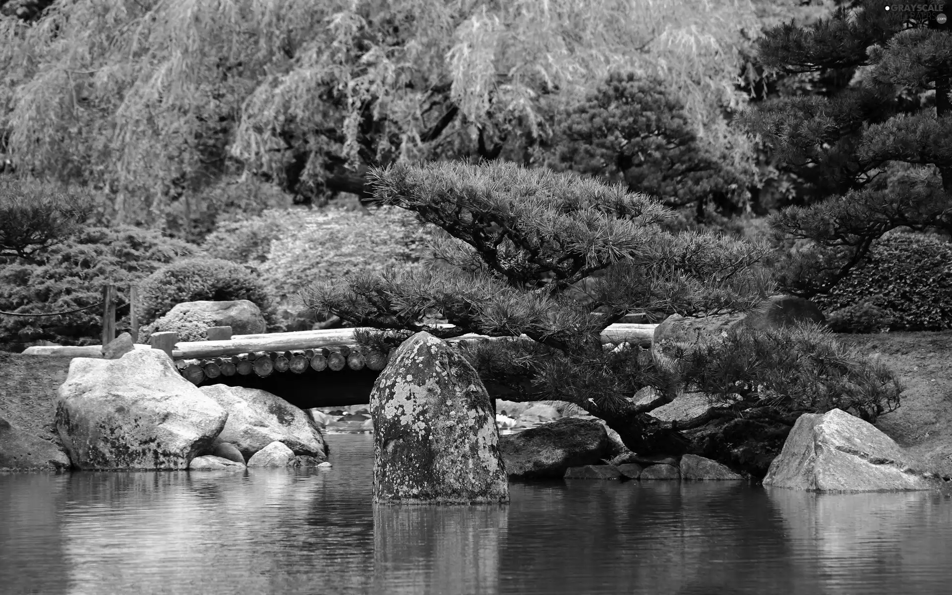 trees, viewes, rocks, bridges, brook