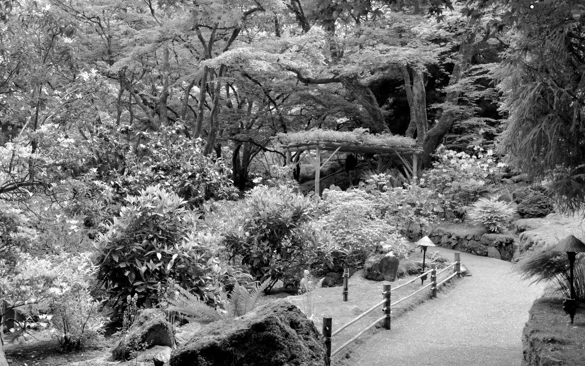 flourishing, Garden, trees, viewes, Bush, beatyfull
