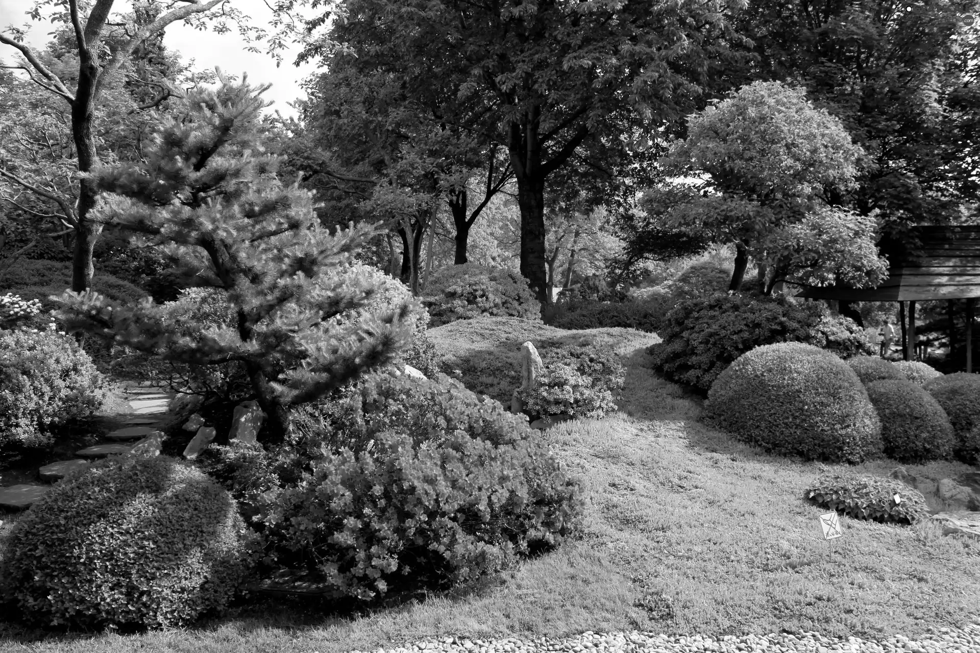 flourishing, Garden, trees, viewes, Bush, beatyfull