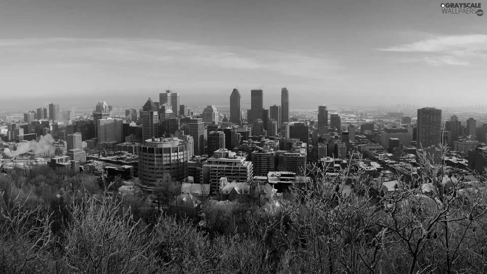 trees, viewes, Montreal, Town, Canada