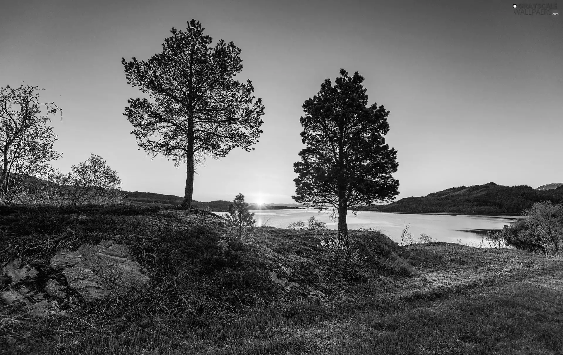 trees, viewes, sun, Two cars, west