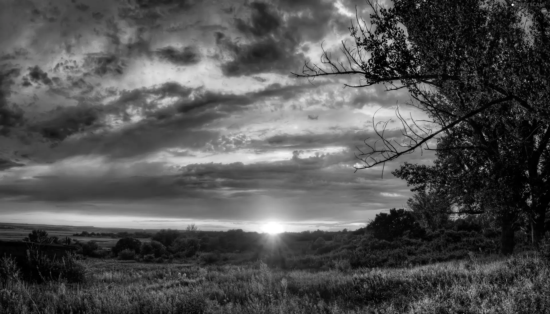 trees, viewes, west, sun, clouds