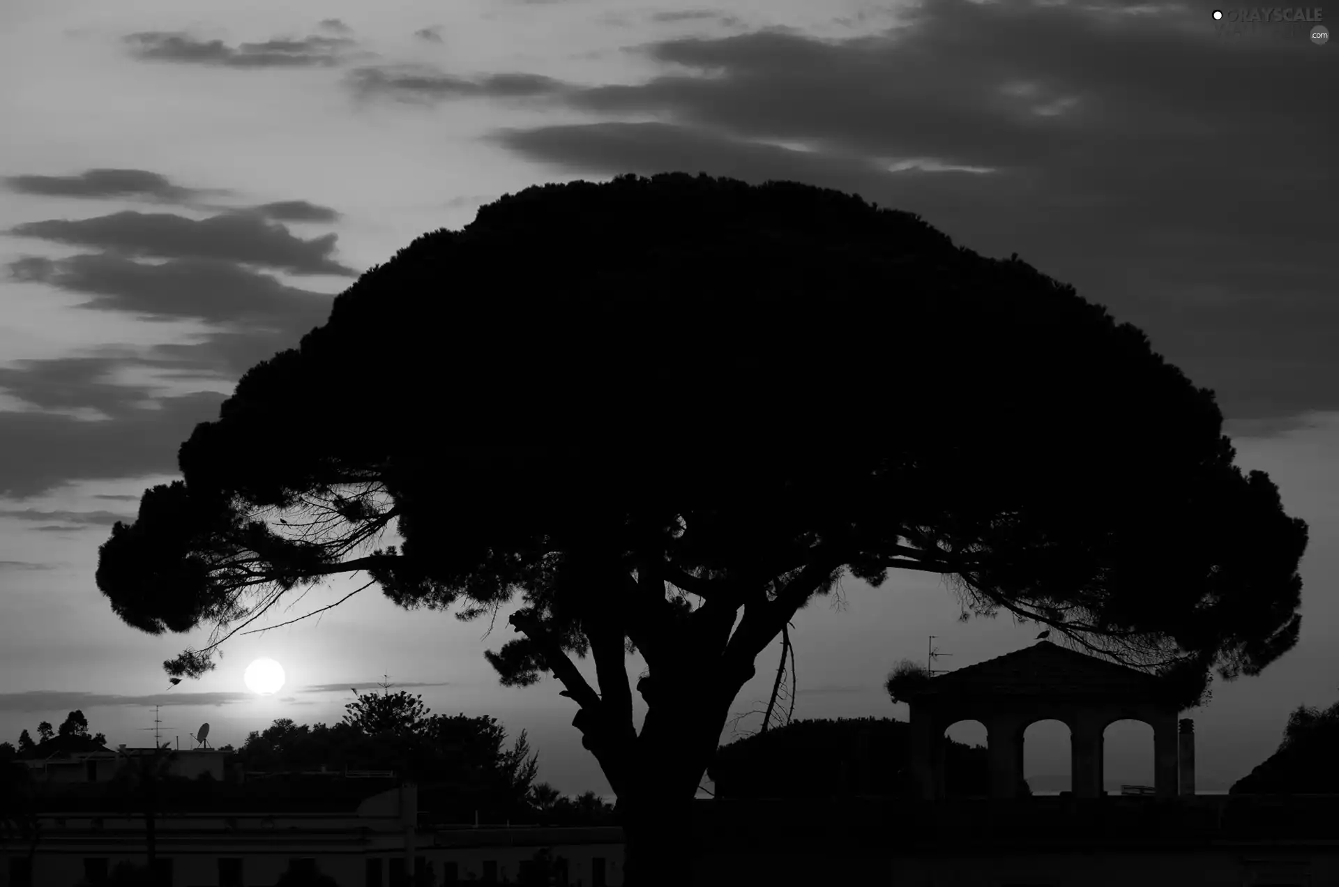 Sky, west, trees, viewes, clouds, Sun