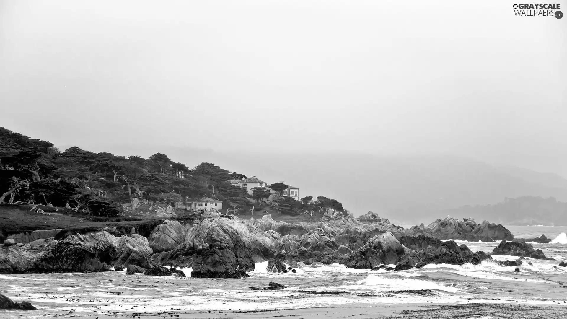 trees, viewes, Houses, rocks, Coast