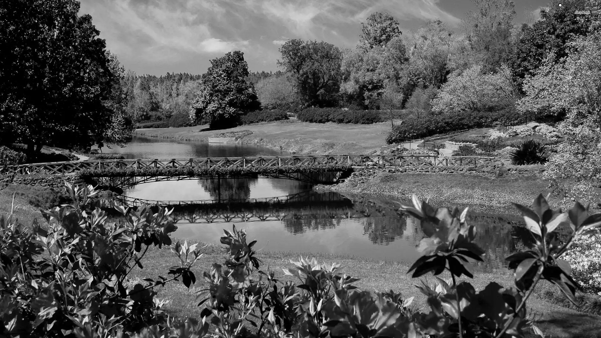 bridges, Park, trees, viewes, Flowers, brook