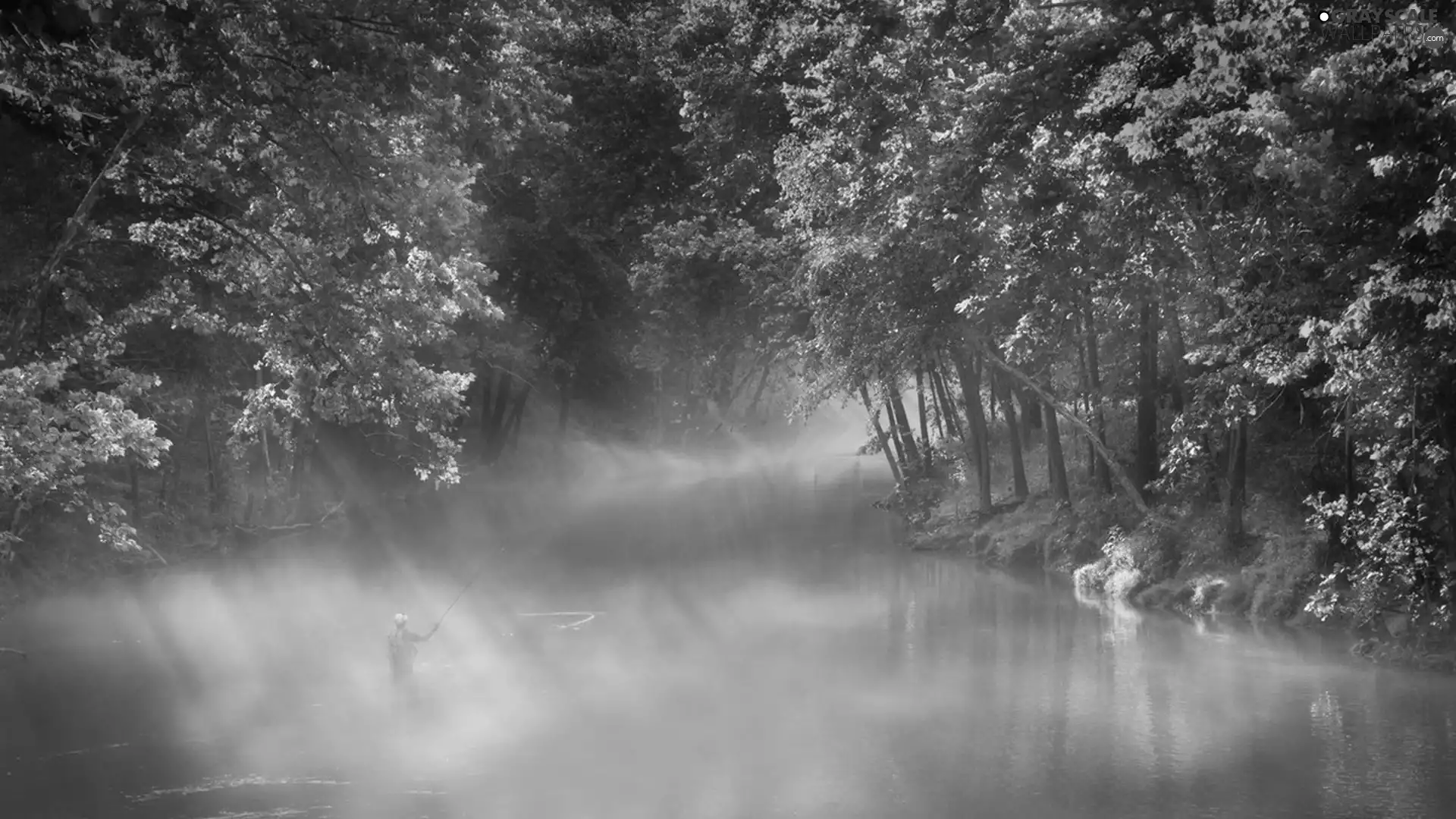 Morning, River, trees, viewes, Fog, angler