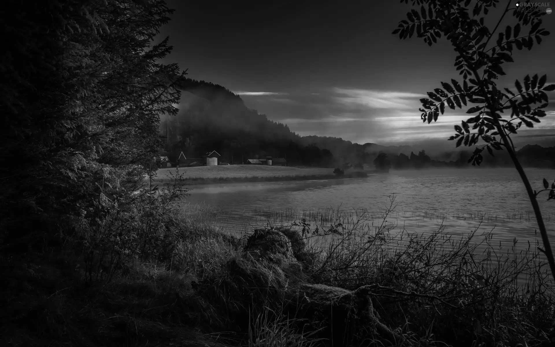 lake, west, trees, viewes, Fog, sun