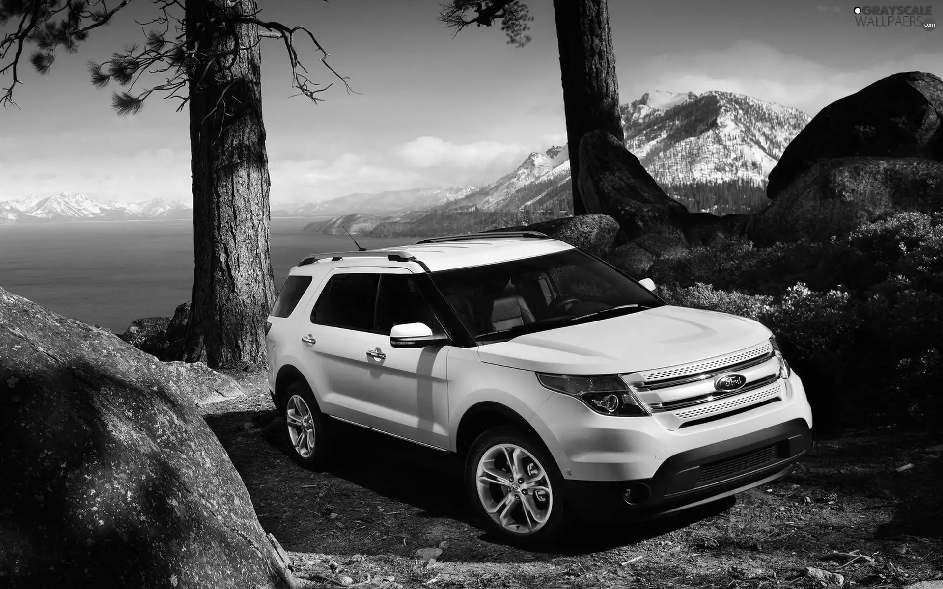 trees, viewes, Mountains, rocks, Ford Explorer