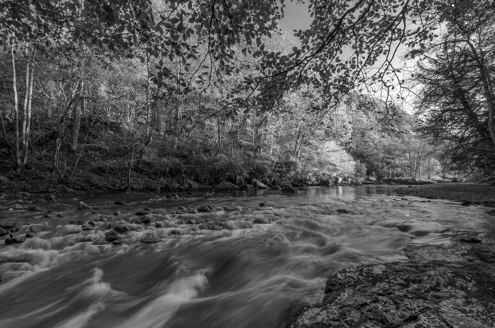 Stones, autumn, trees, viewes, forest, River