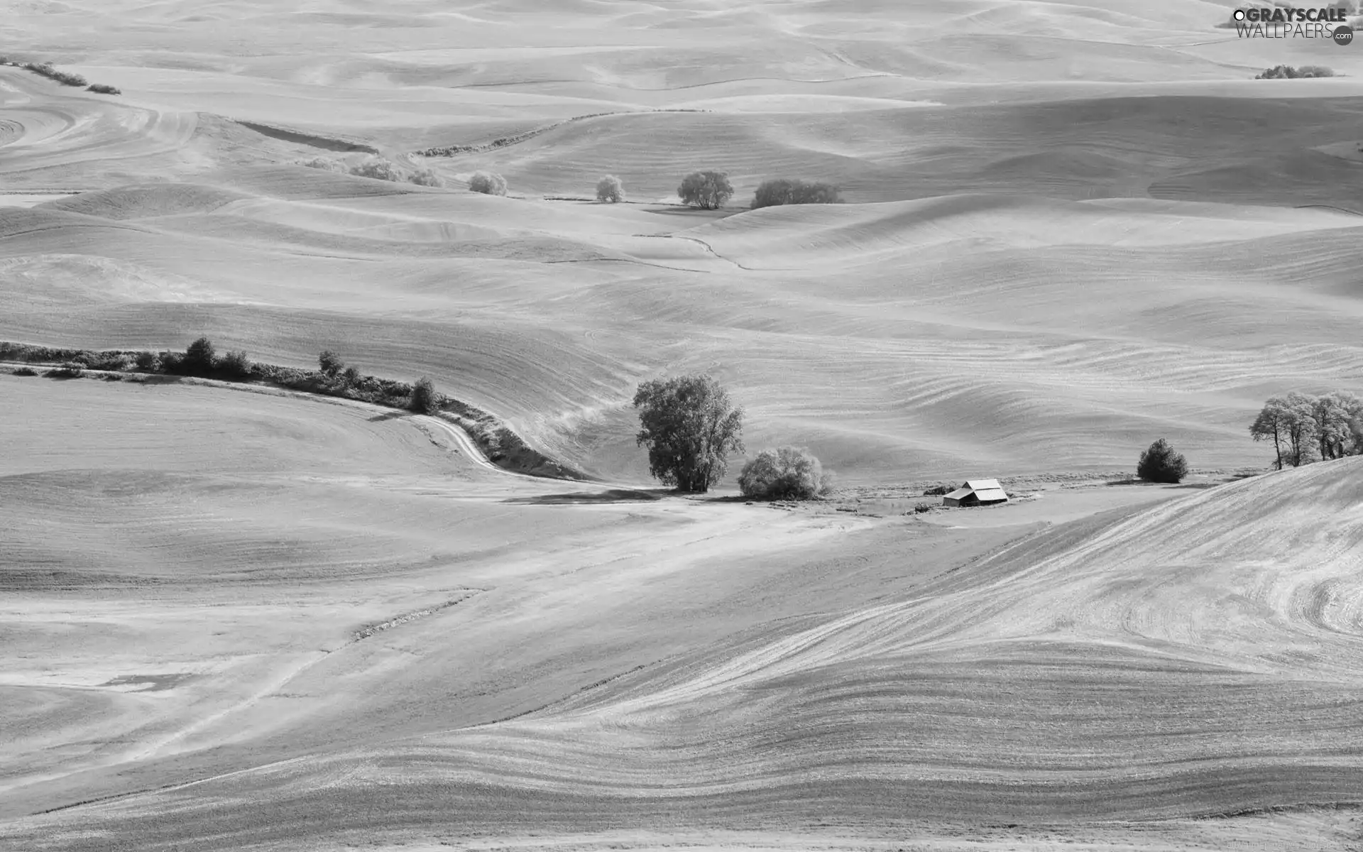 Way, Farms, trees, viewes, hills, field