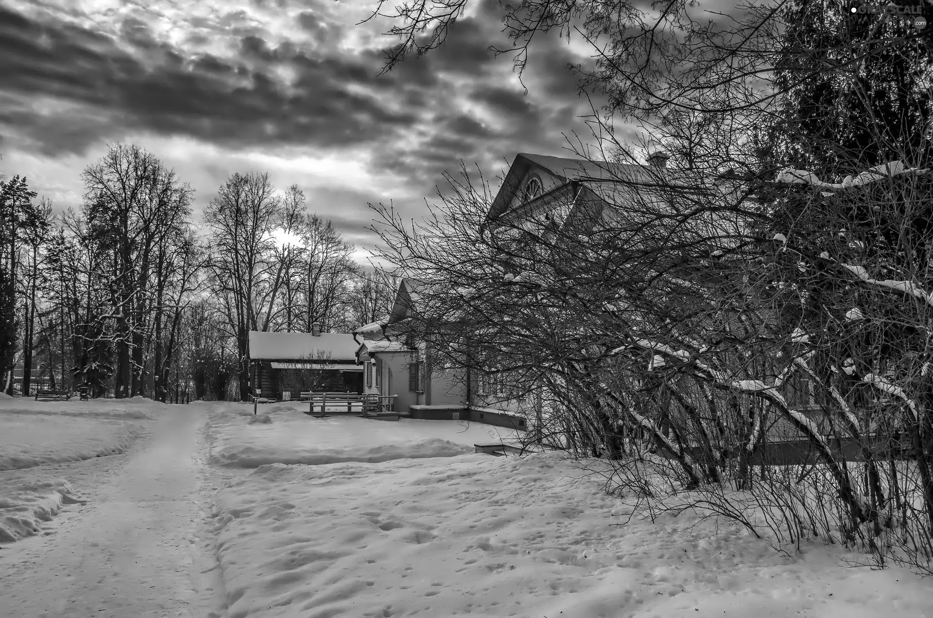 snow, west, trees, viewes, house, sun