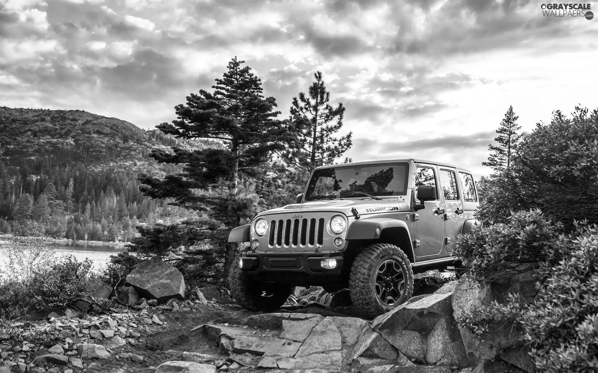 trees, viewes, Wrangler, Stones, jeep