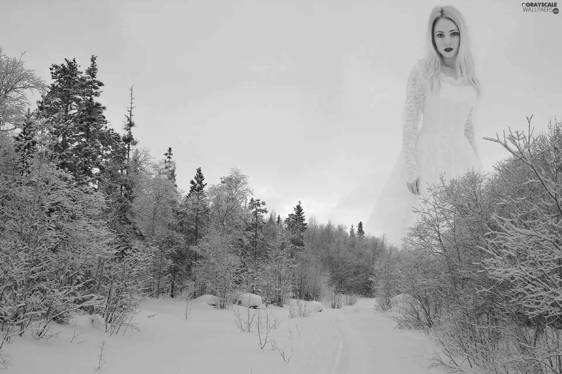 trees, viewes, winter, snow, lady