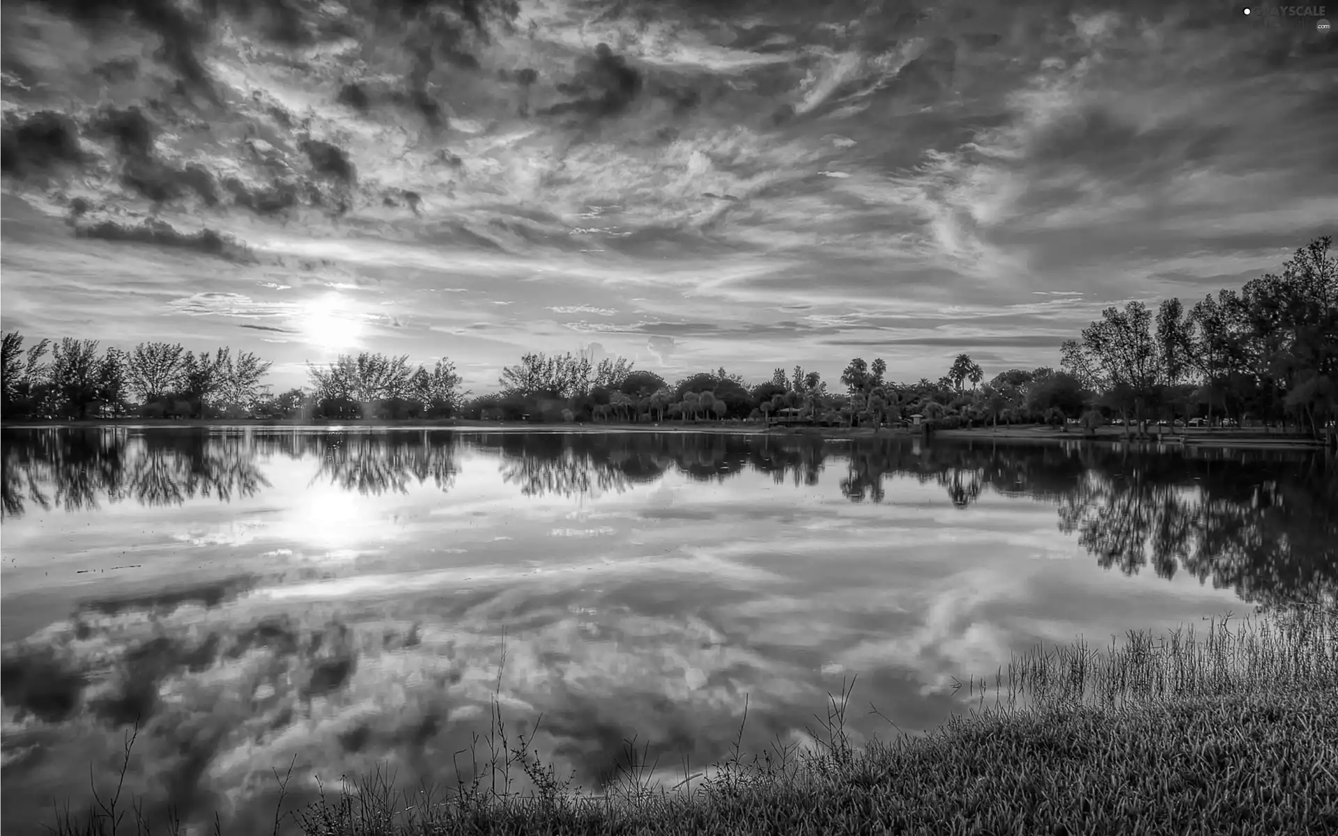 sun, clouds, trees, viewes, lake, west