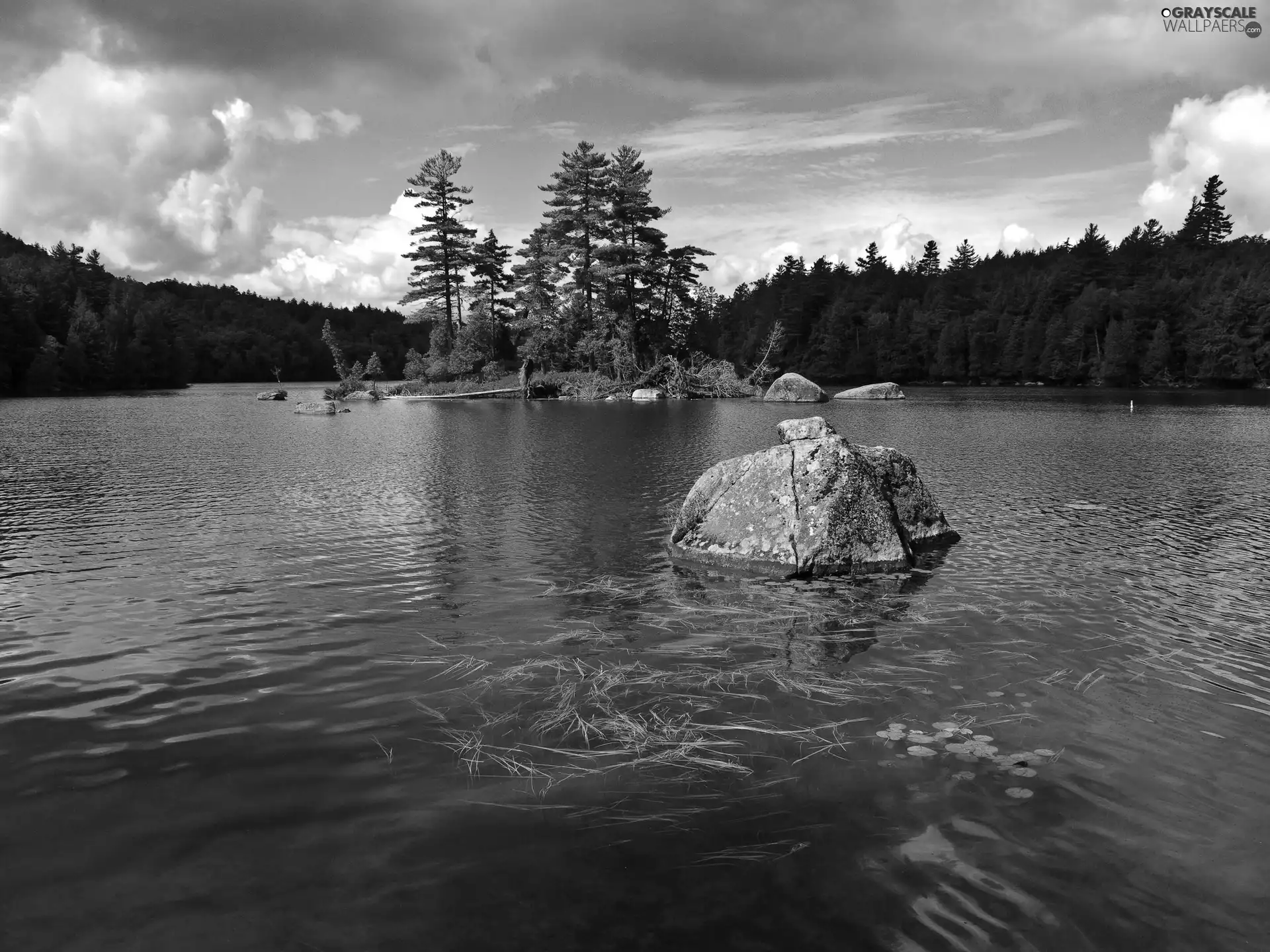 trees, viewes, woods, Islet, lake