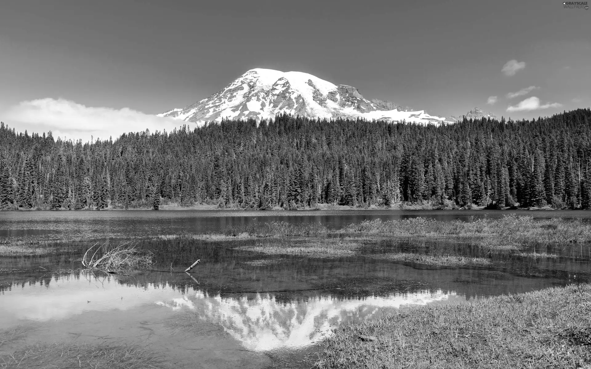 trees, viewes, reflection, Mountains, lake