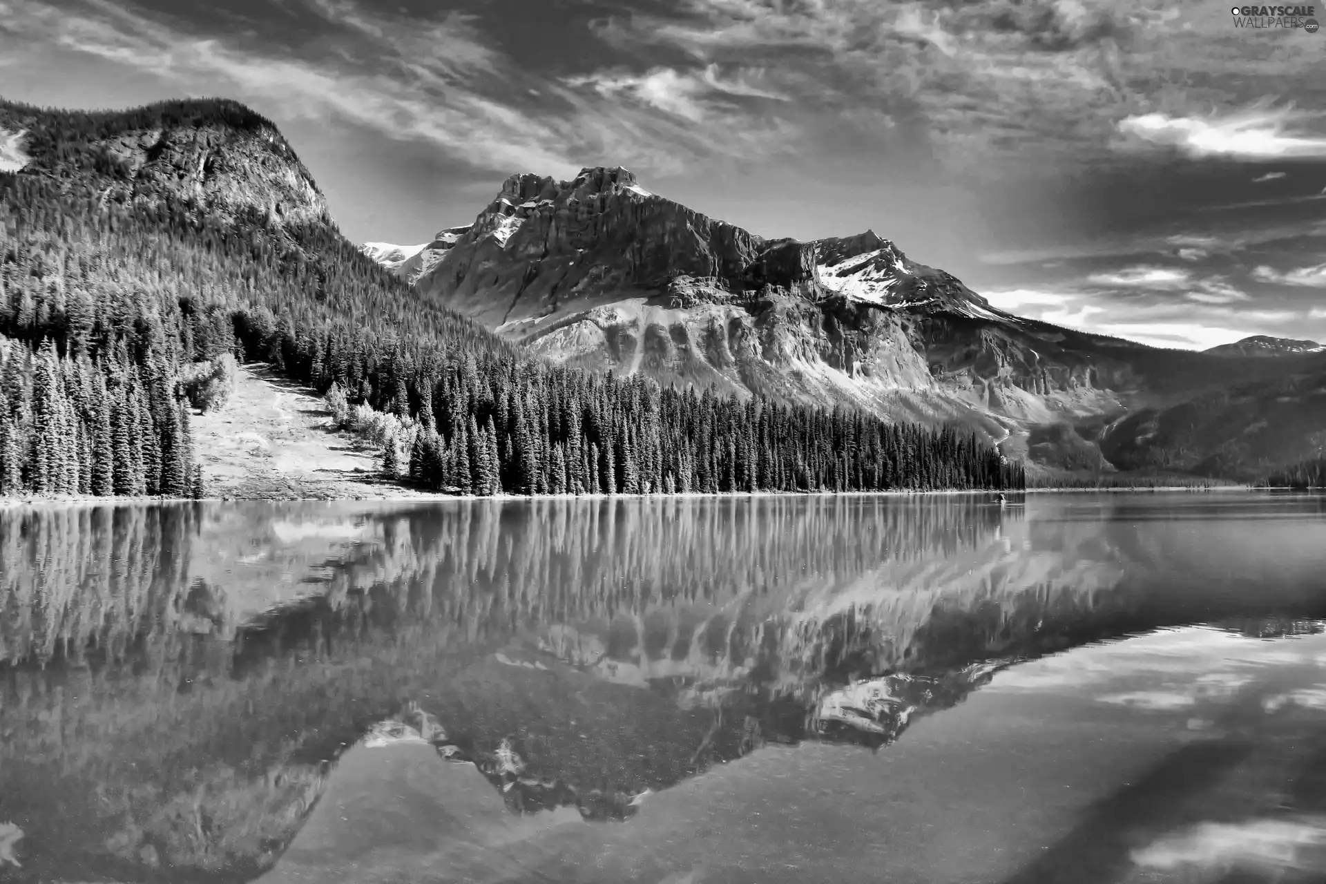 trees, viewes, Mountains, reflection, lake