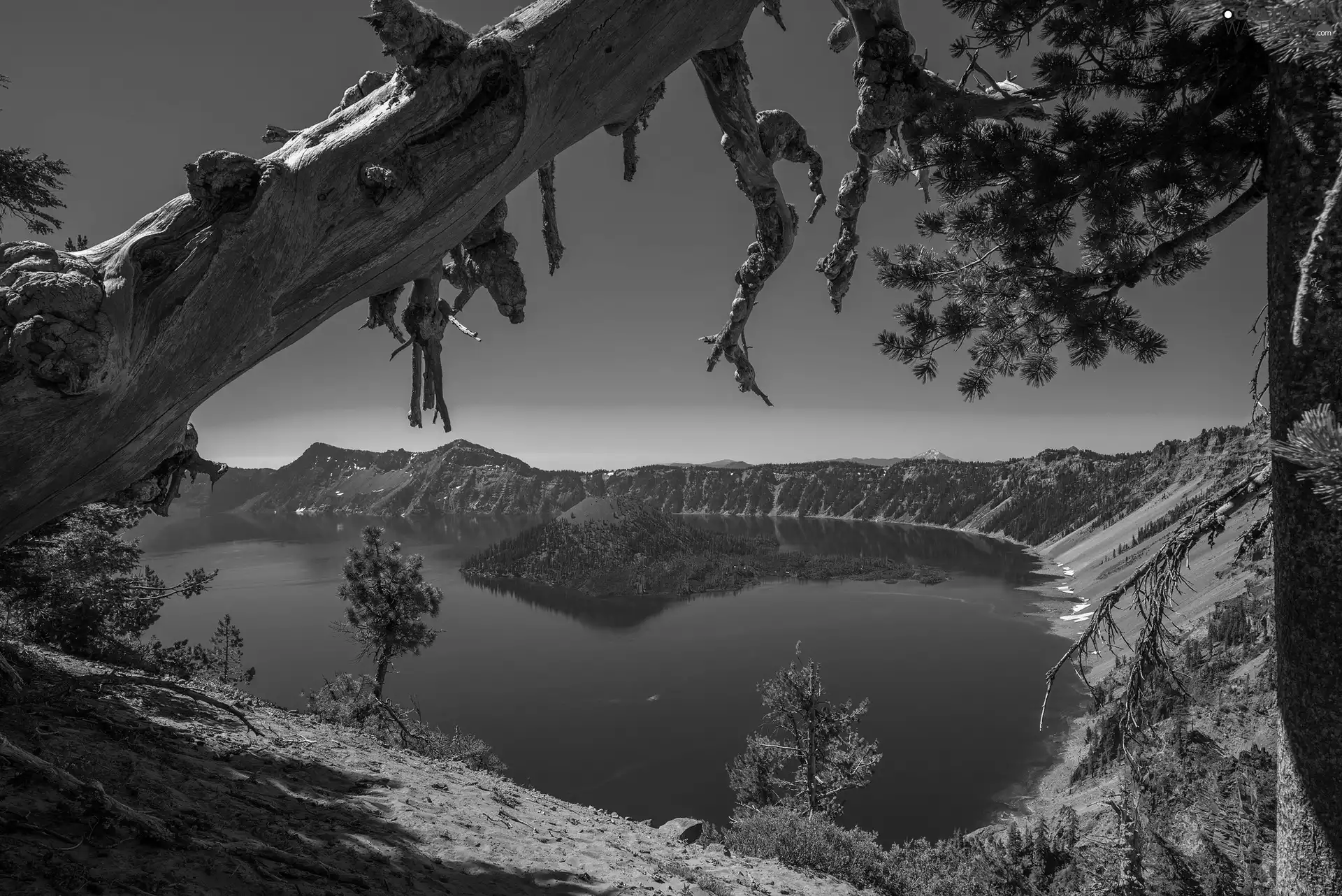 trees, viewes, crater, rocks, lake