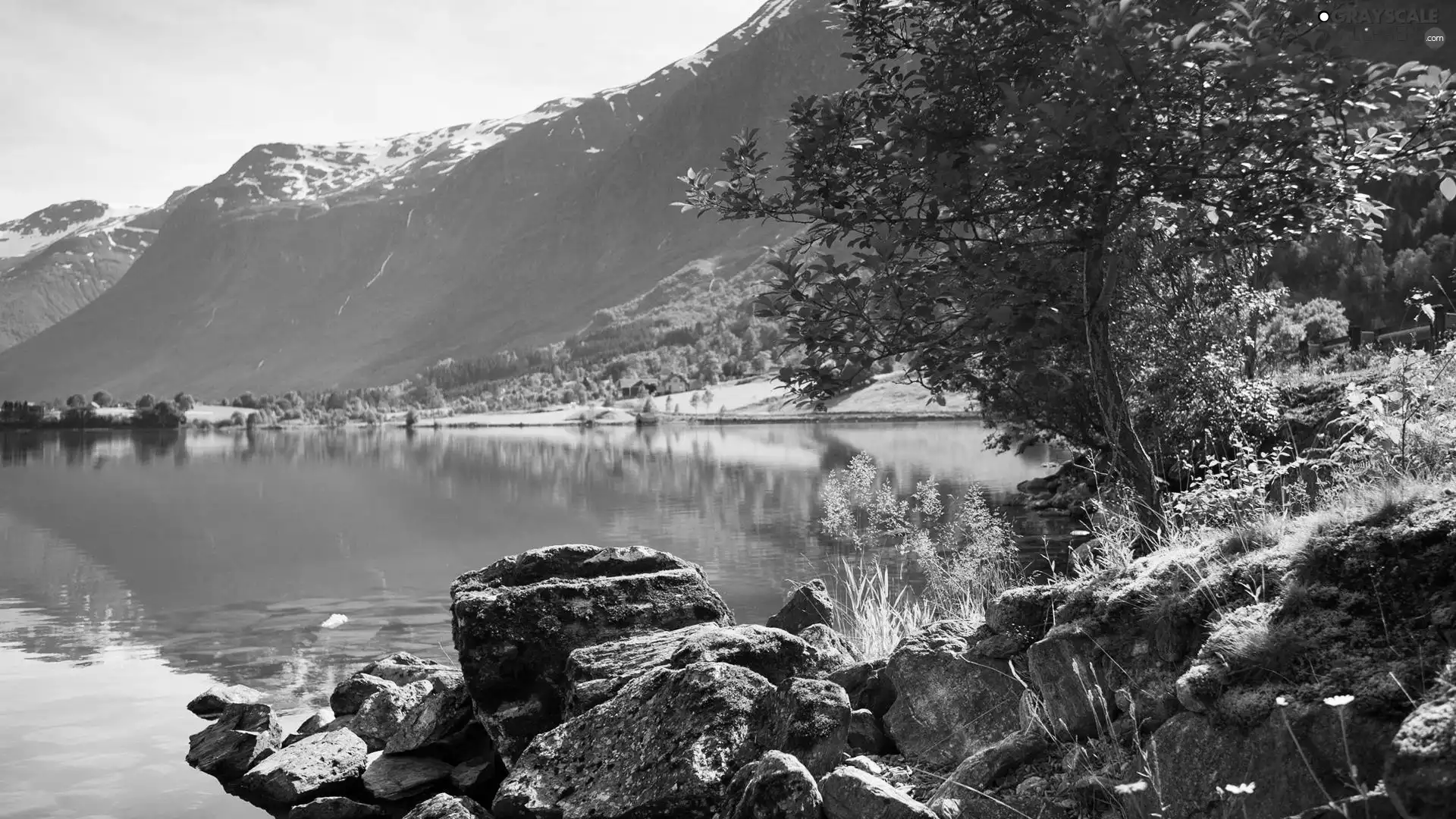 trees, viewes, Mountains, Stones, lake