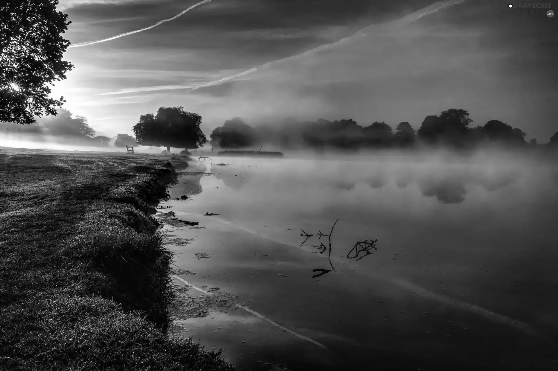 trees, viewes, Fog, Sunrise, lake