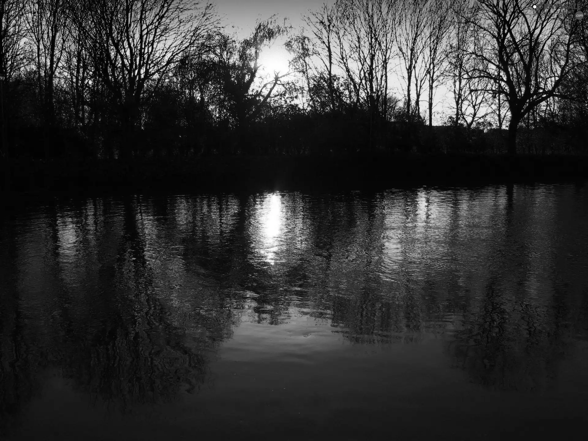 rays, west, trees, viewes, lake, sun