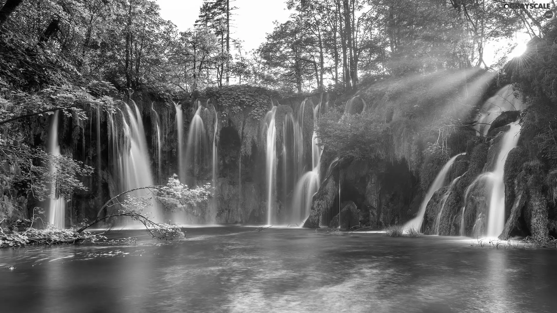 trees, Plitvice Lakes National Park, Plants, lake, waterfall, viewes, Coartia