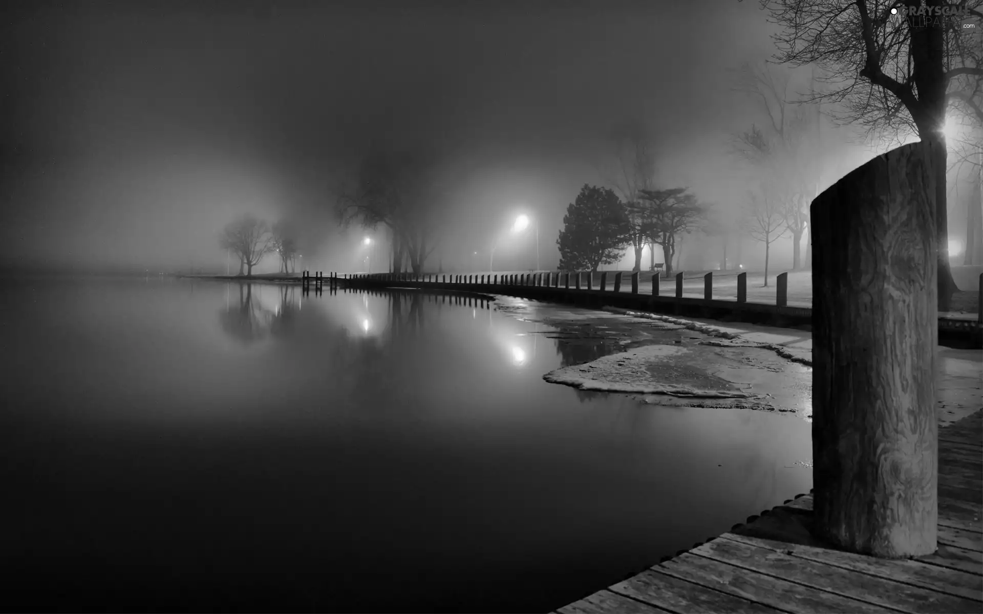 Fog, coast, trees, viewes, lanterns, lakes