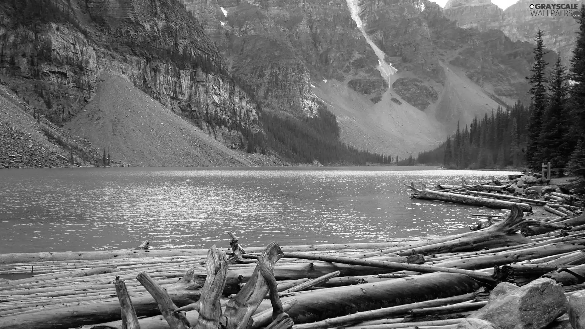 trees, viewes, River, broken, Mountains