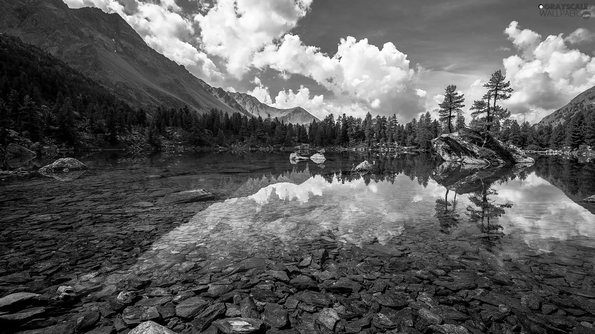 trees, viewes, lake, clouds, Mountains