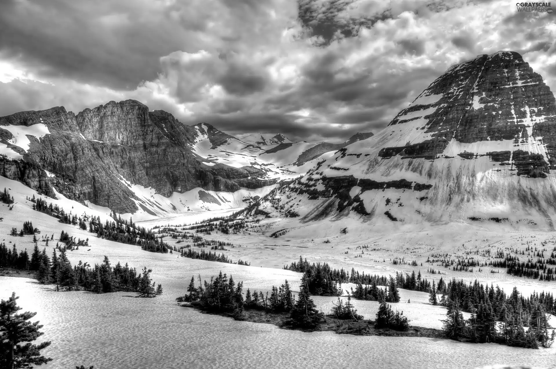 trees, viewes, snow, clouds, Mountains