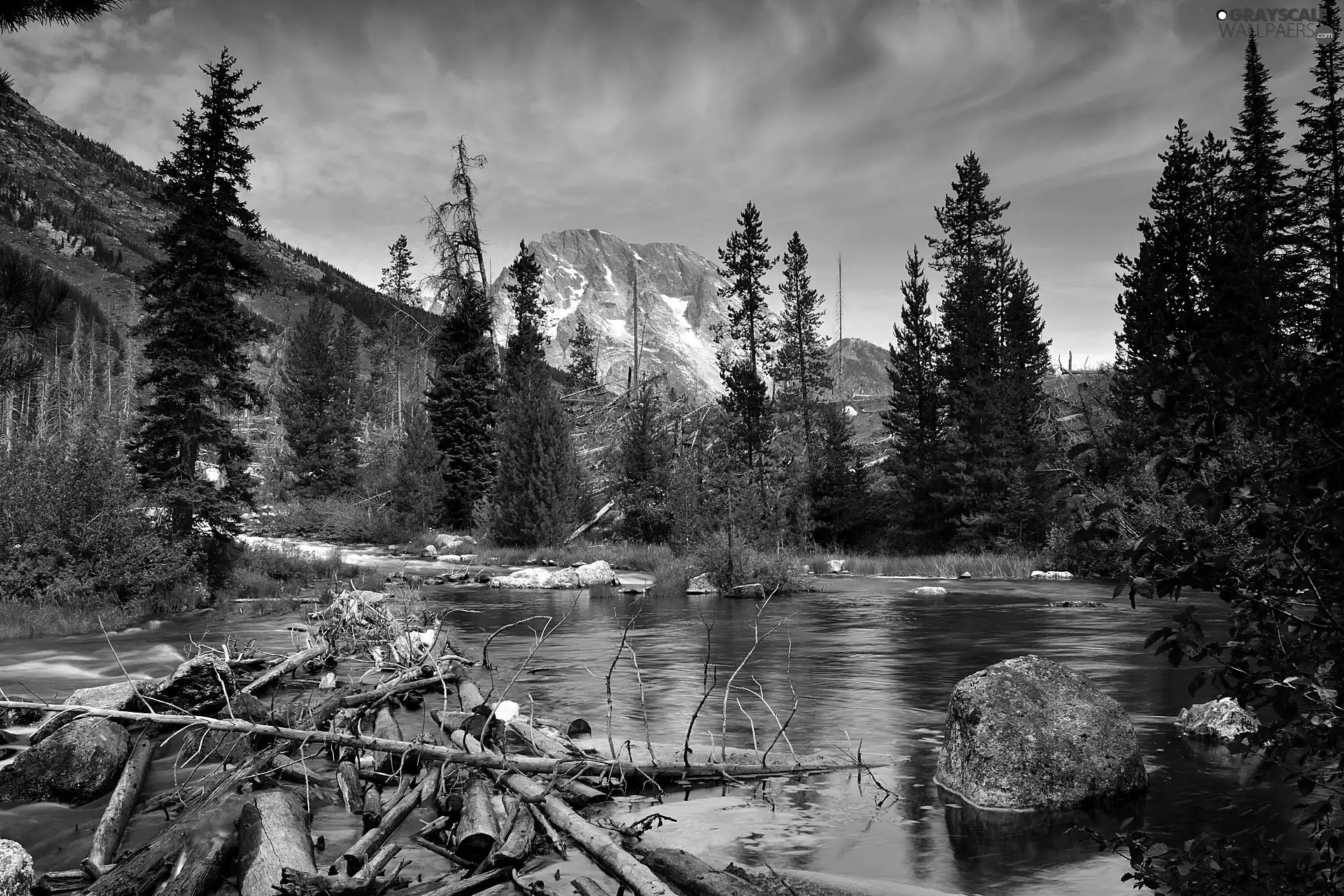 trees, viewes, River, fallen, Mountains