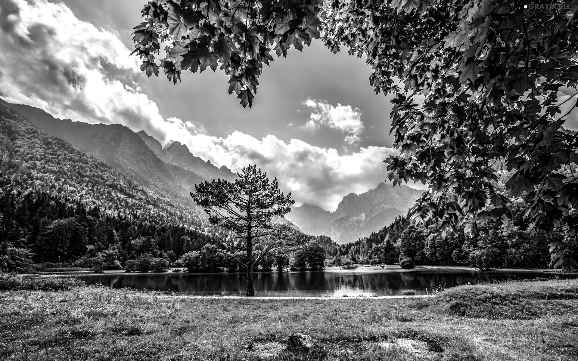 trees, viewes, clouds, lake, Mountains