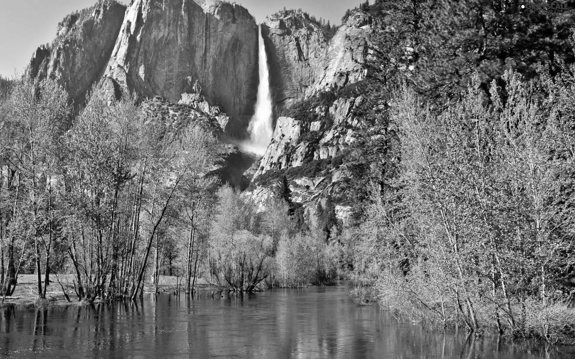 trees, viewes, waterfall, River, Mountains