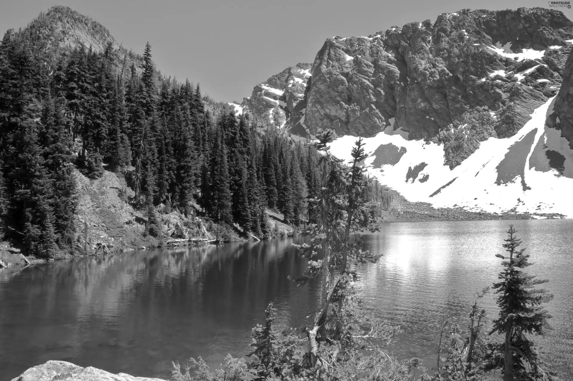 trees, viewes, lake, snow, Mountains