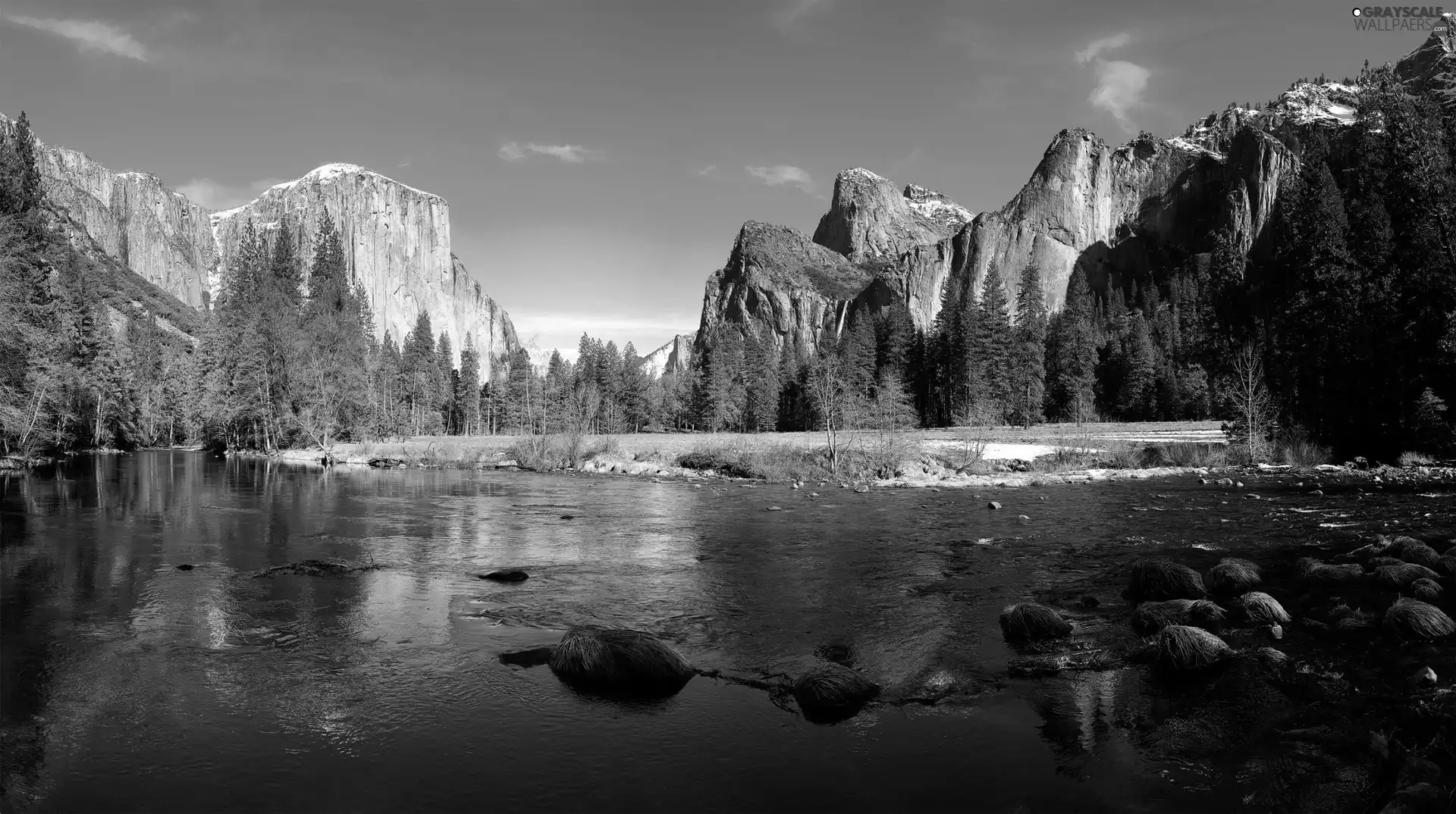 trees, viewes, River, Stones, Mountains