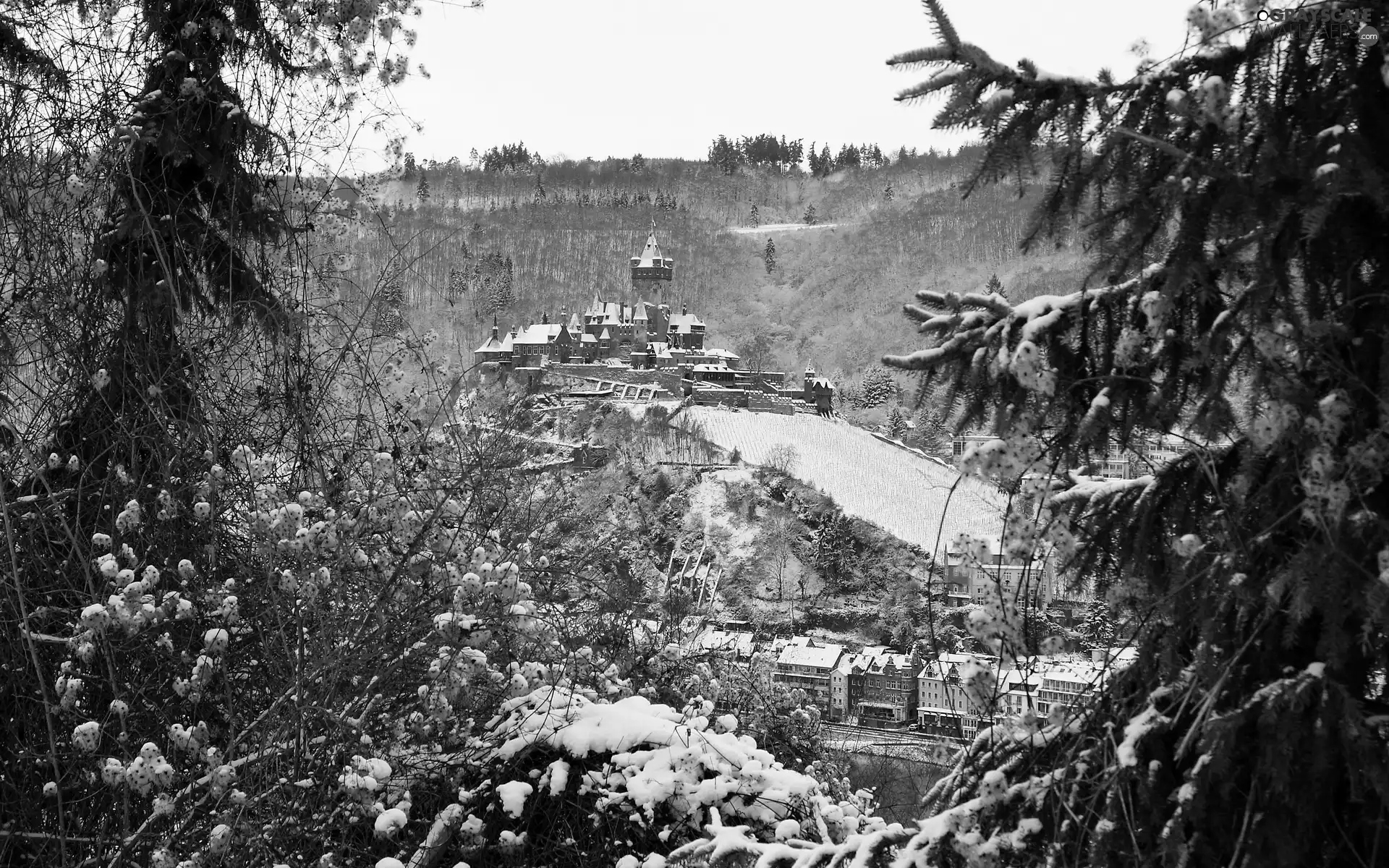 trees, viewes, Castle, winter, mountains