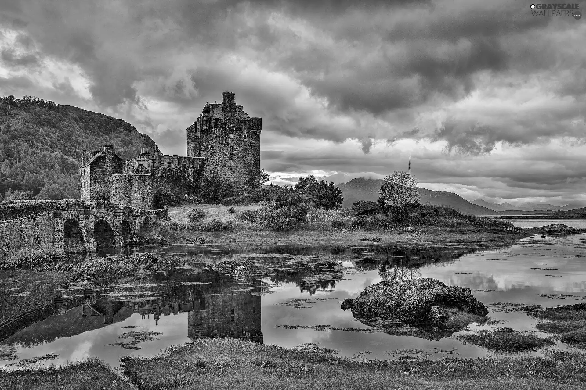 trees, viewes, Castle, River, Old car