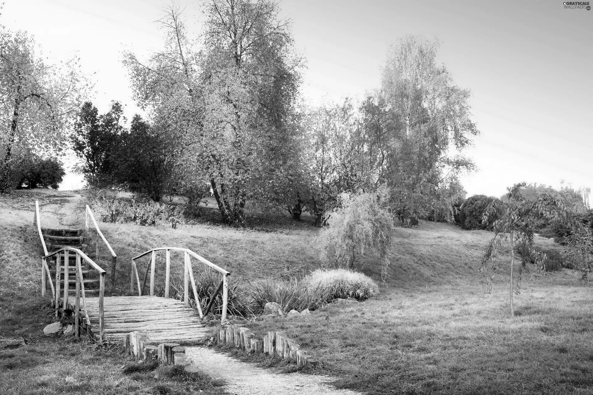 trees, viewes, bridges, wooden, Park