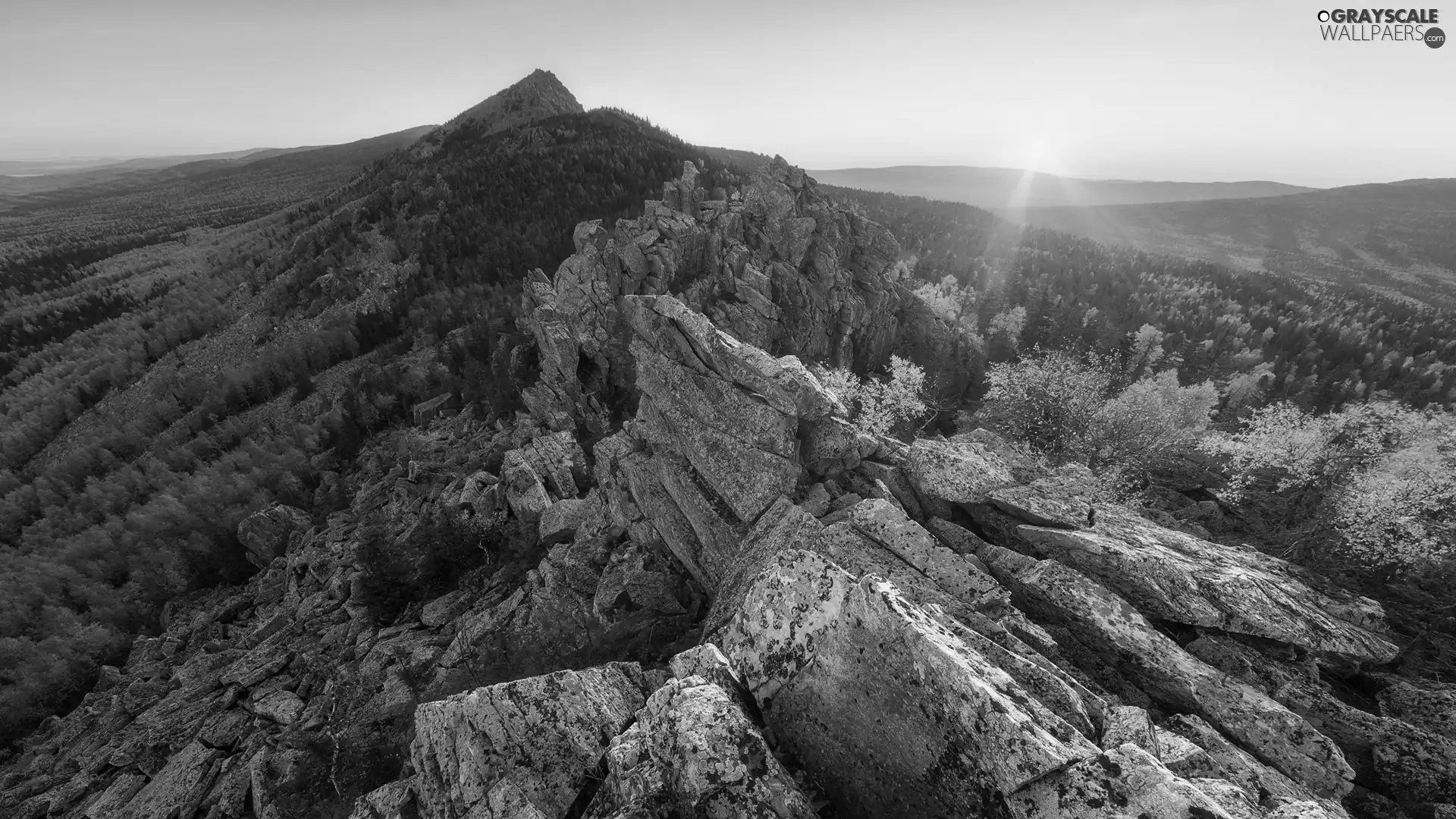 trees, rocks, rays of the Sun, forest, Mountains, viewes, autumn