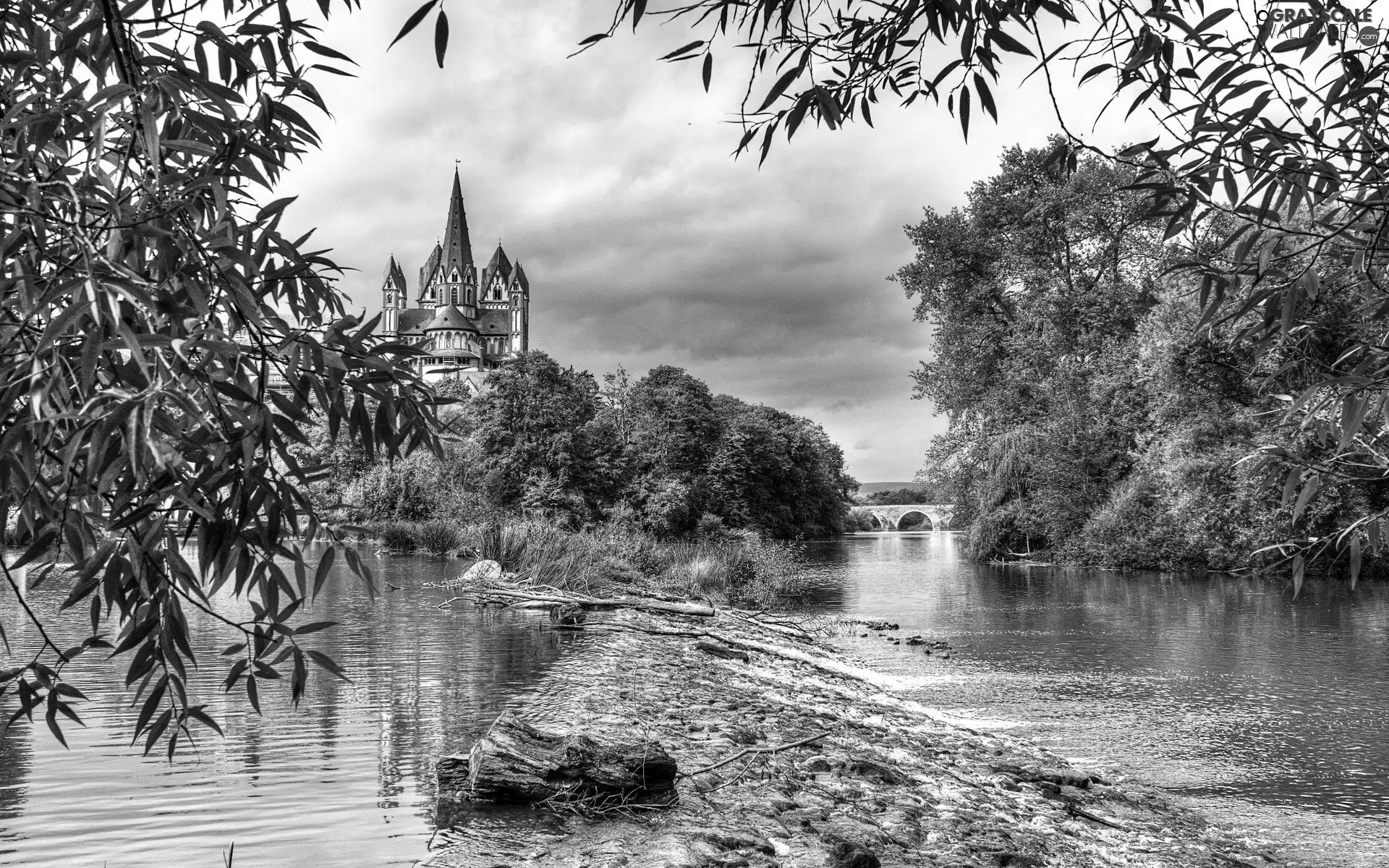 trees, viewes, Castle, bridge, River