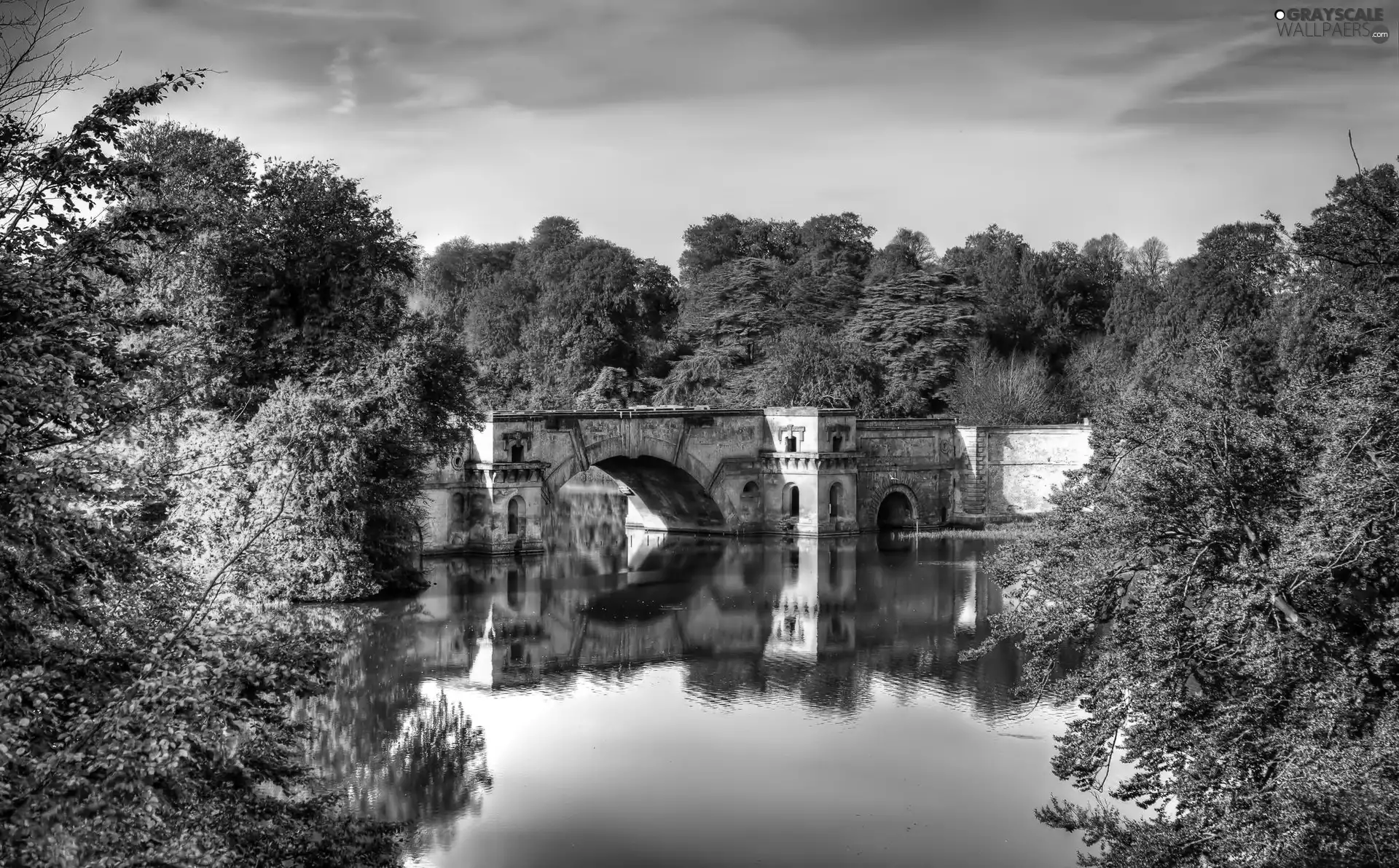 trees, viewes, bridges, color, River