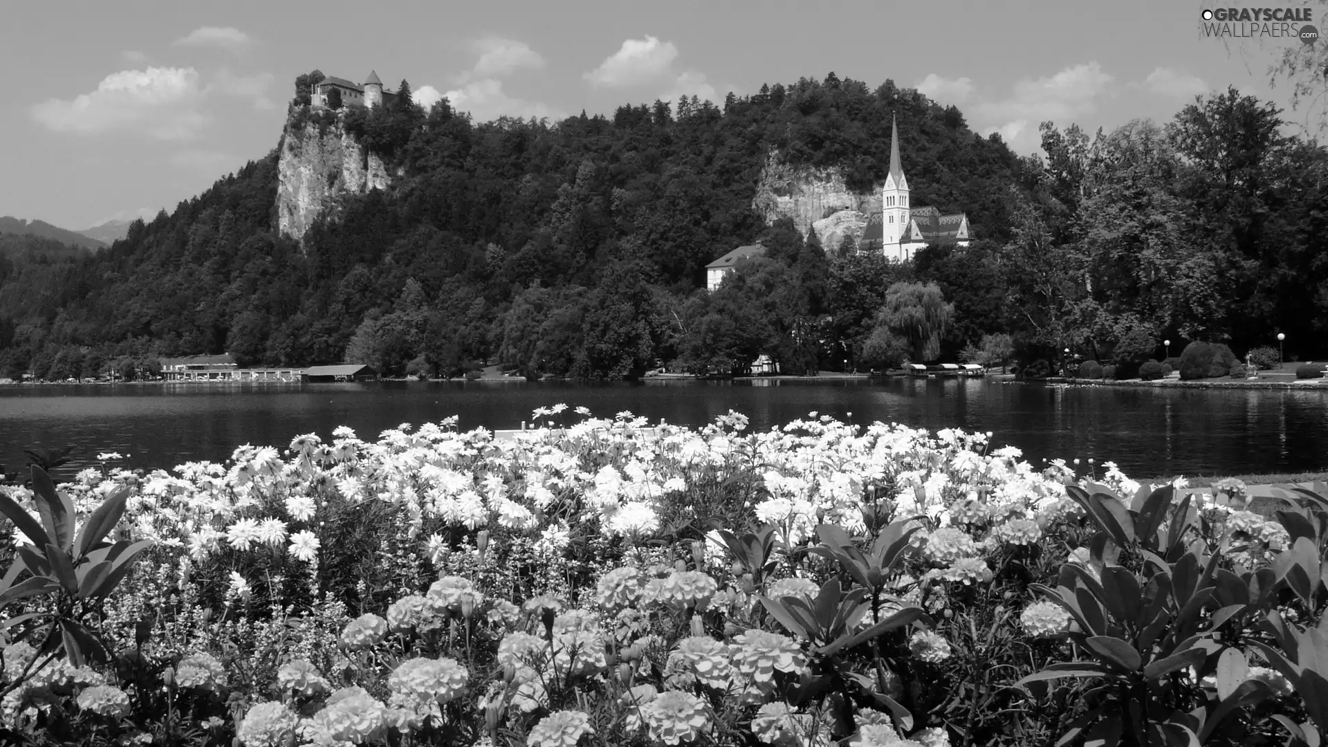 trees, viewes, Castles, Flowers, River