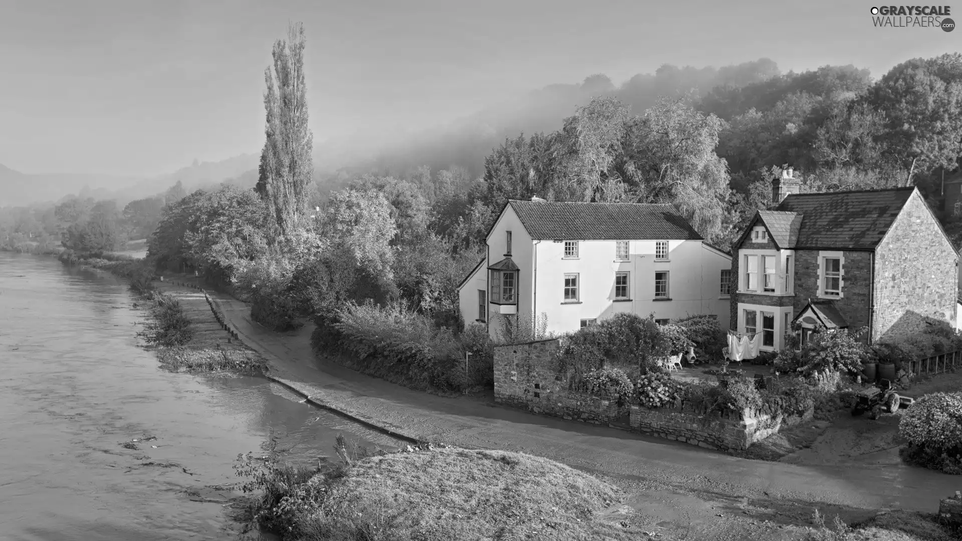 trees, viewes, at, The River, house