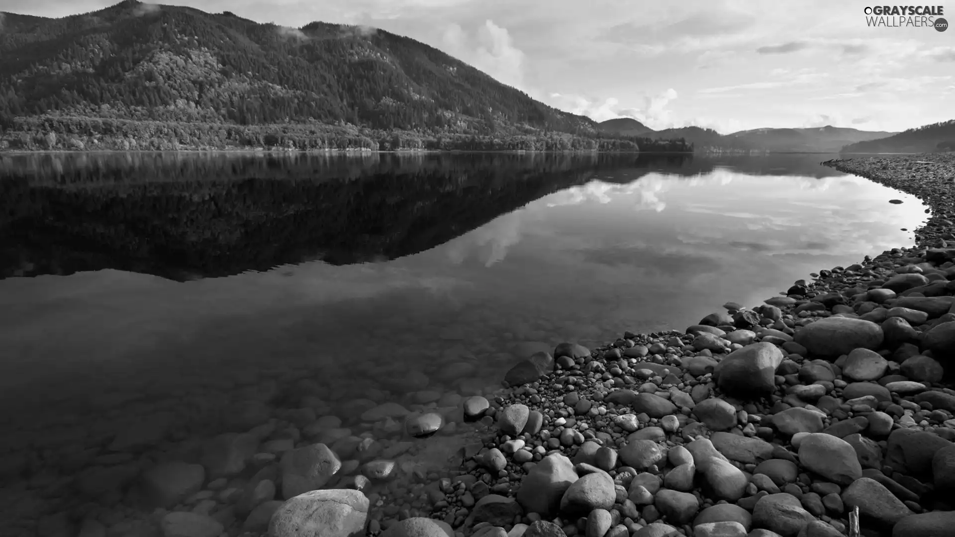 trees, viewes, Stones, mountains, River