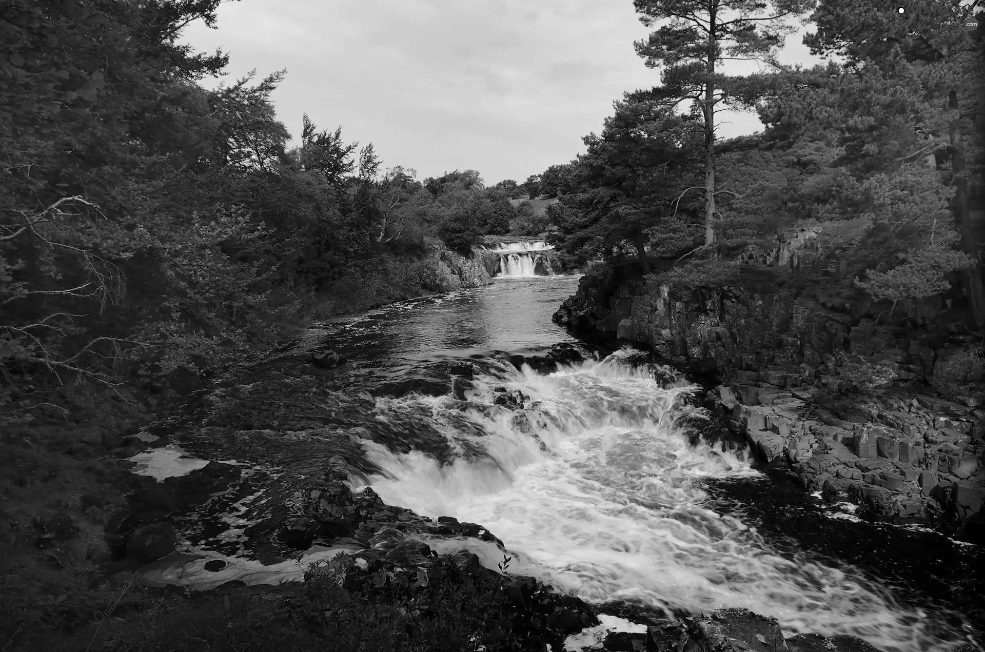 trees, viewes, waterfall, Stones, River