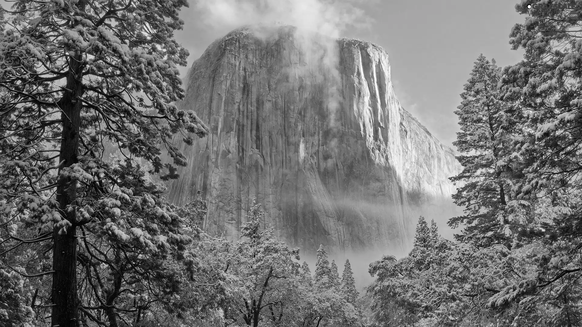 national, California, trees, viewes, rocks, Park