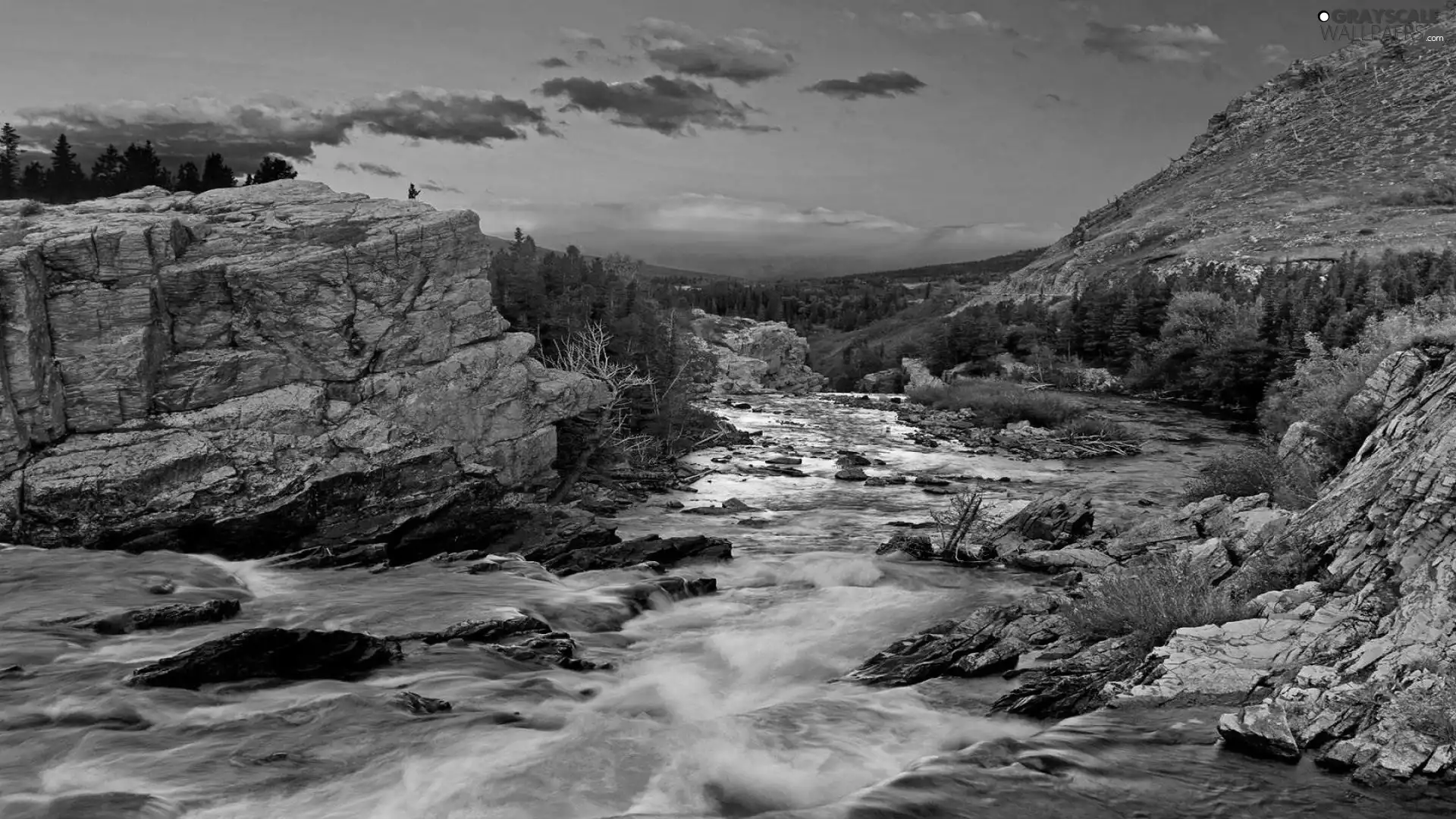 River, west, trees, viewes, rocks, sun